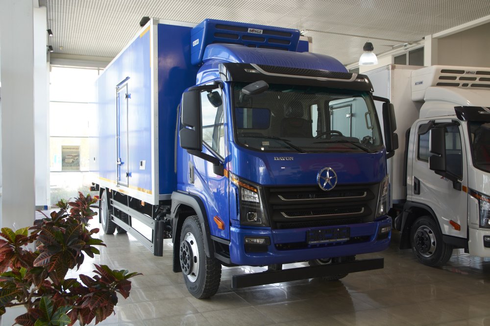 Рефрижератор DAYUN X120 CGC1120D фото